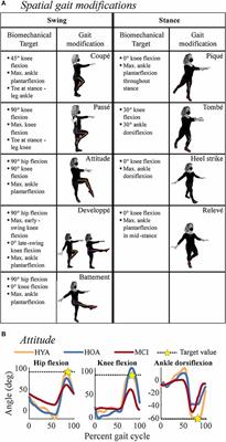 Motor and cognitive deficits limit the ability to flexibly modulate spatiotemporal gait features in older adults with mild cognitive impairment